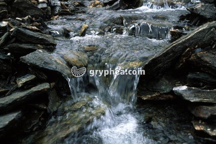 Schistes métamorphiques - Col de l'Iseran (Alpes) - gryphea.com